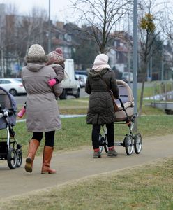 Wniosek o 500+. ZUS radzi: złóż do końca czerwca