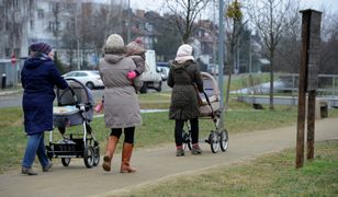 Wniosek o 500+. ZUS radzi: złóż do końca czerwca