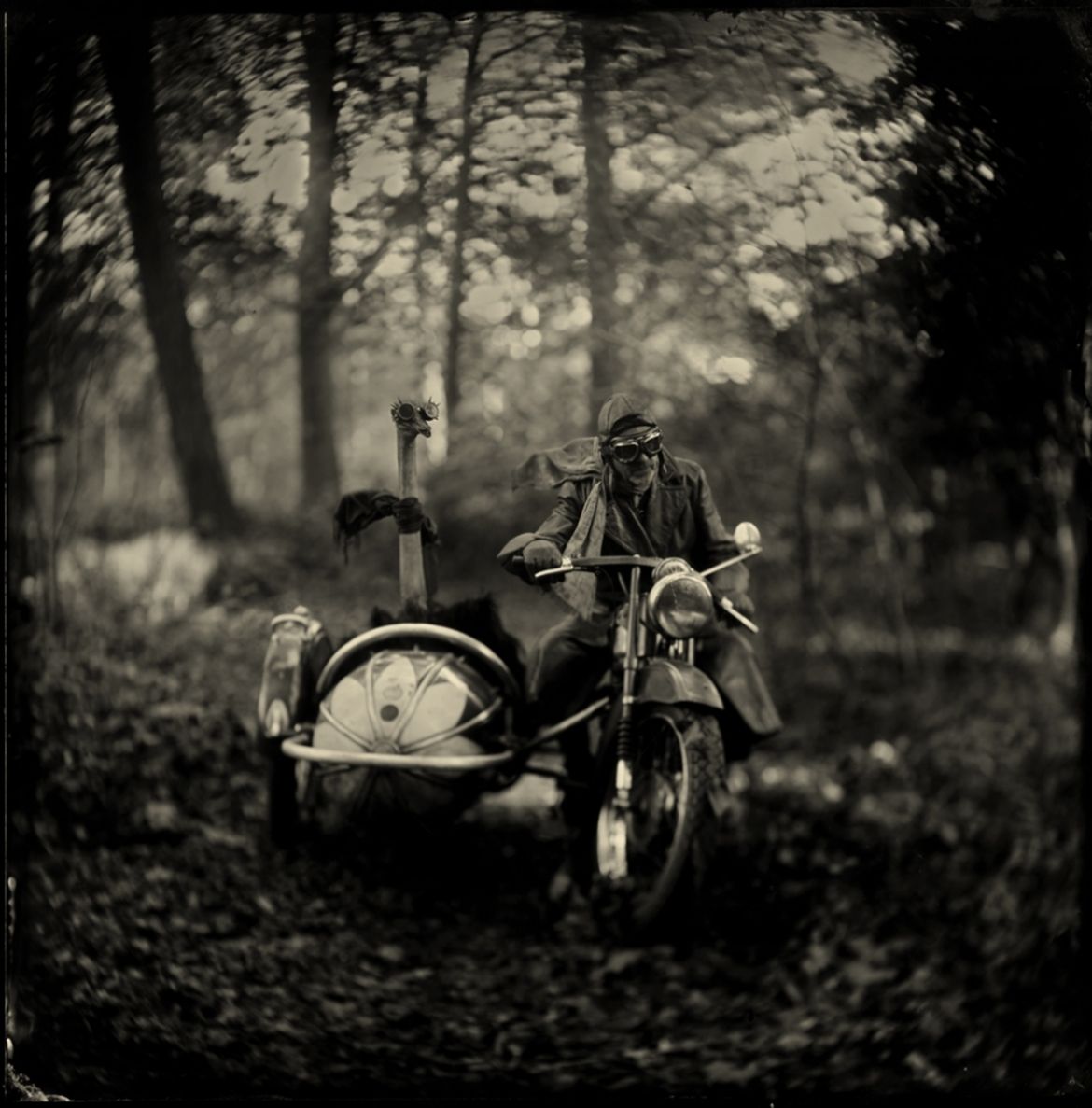 Wielu Polaków na podium w konkursie Monochrome Photography Awards 2017 28
