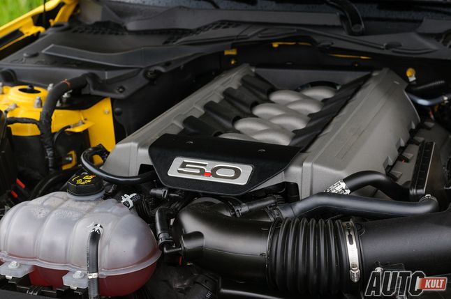Ford Mustang 5,0 V8 Fastback - silnik
