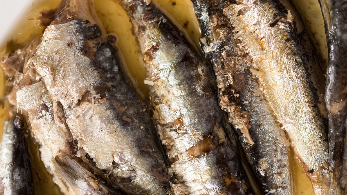 Kwasy omega-3 – dlaczego są tak cenne? Jakie mają właściwości i gdzie można ich znaleźć najwięcej?