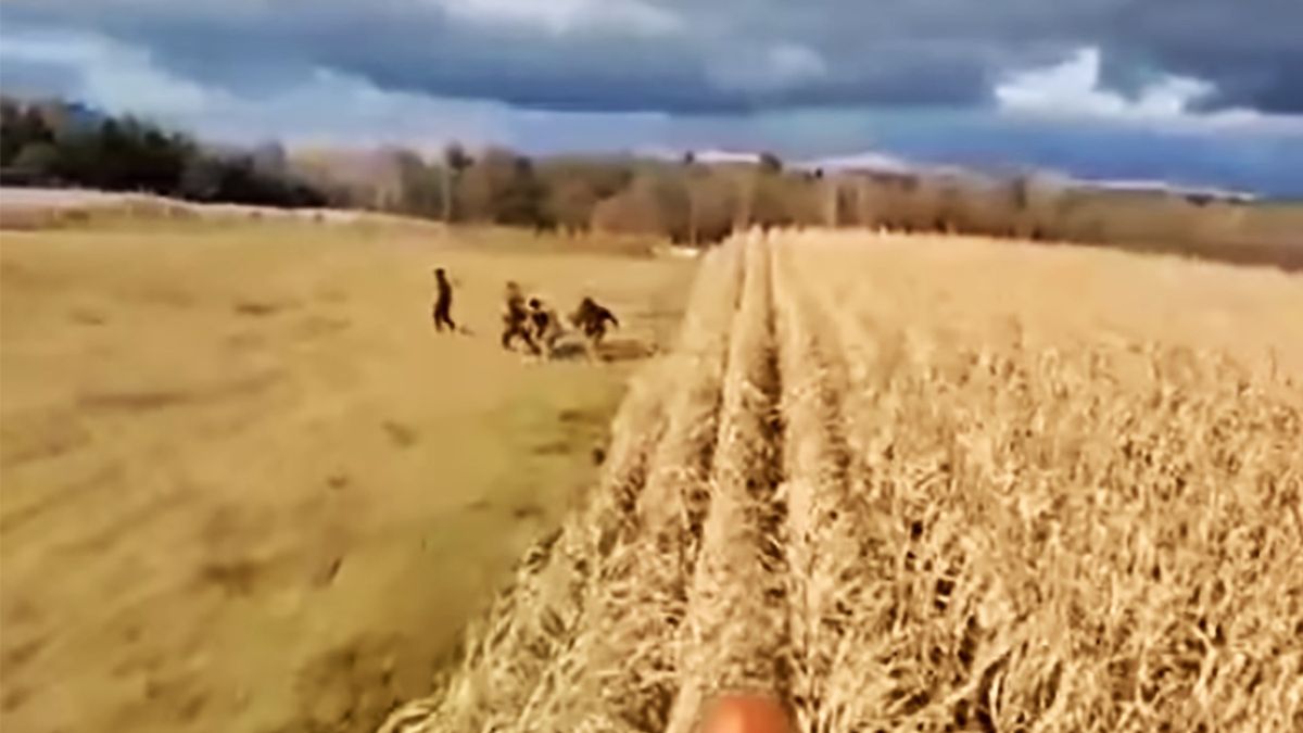 Migranci uciekli w ostatniej chwili przed nadjeżdżającym kombajnem