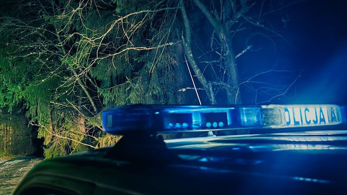 policja radiowóz las noc