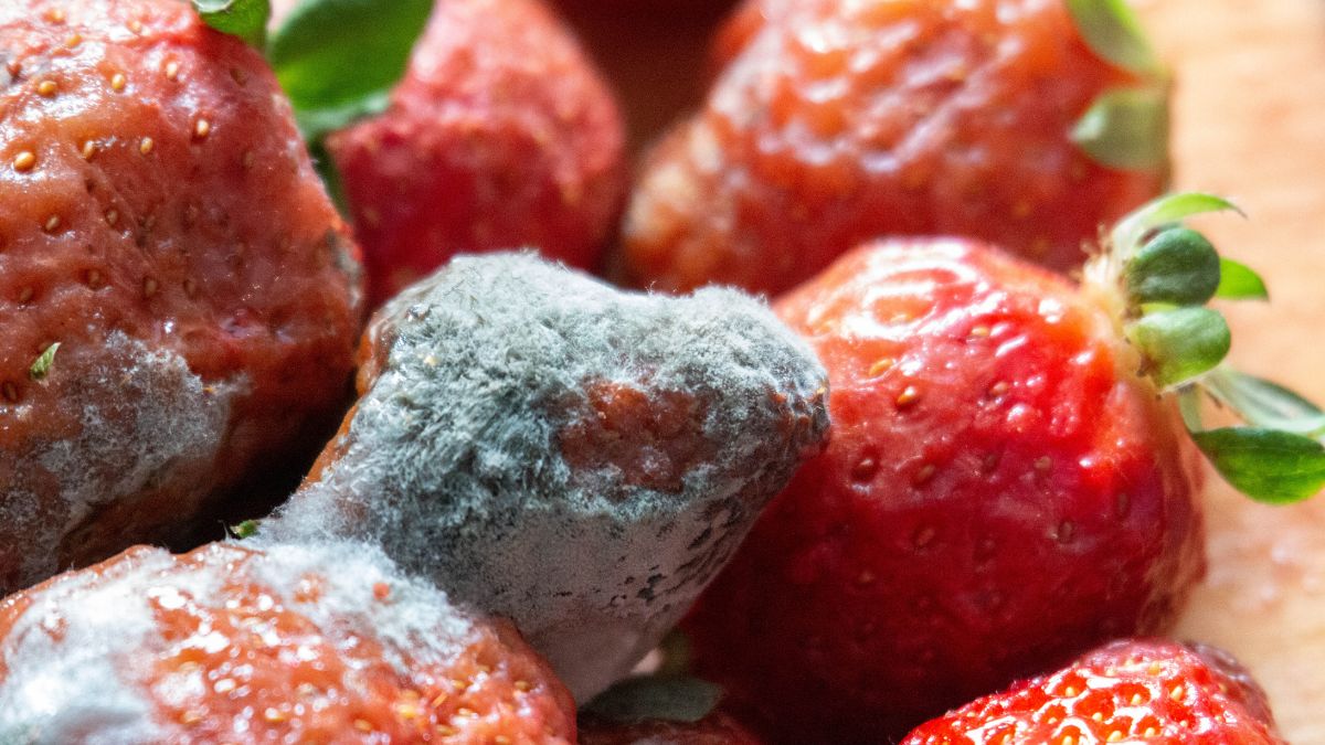 Truskawki psują się momentalnie? Technolożka żywności coś na to poradzi