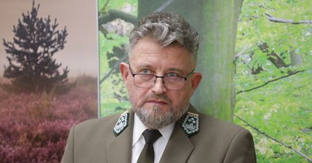 Wielka narada ws. lasów. Będą nowe zasady wycinki