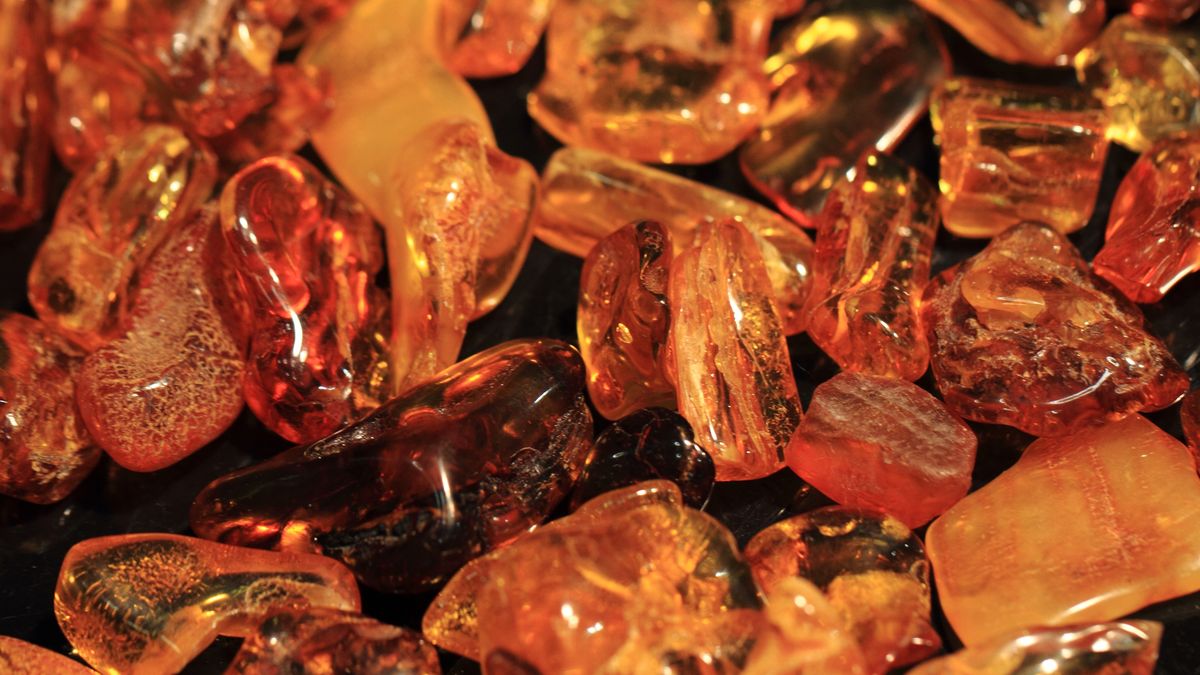 yellow amber mineral collection
yellow amber mineral collection as nice natural background
jonnysek