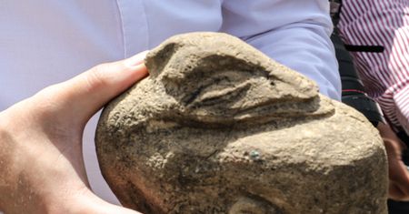 Rolnik znalazł to na polu. Odkrycie poruszyło archeologów z całego świata