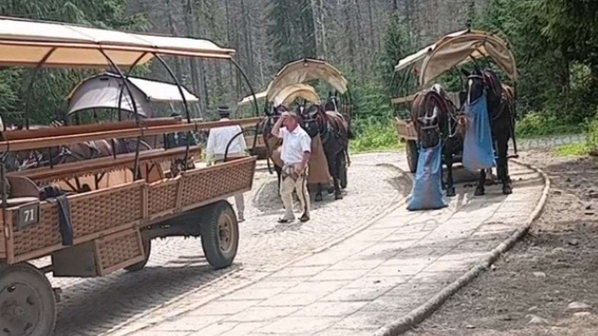 Jechał bryczką nad Morskie Oko