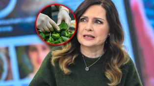 Strączki zamiast mięsa? Gozdyra uderza w polityków