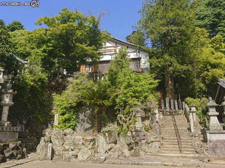 #wSkrócie: Sony Xperia XZ3 w GFXBench, Huawei P9 bez Oreo i Google Assistant po polsku 6