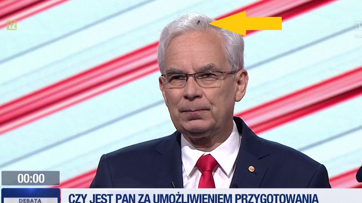 Mucha na głowie Waldemara Witkowskiego