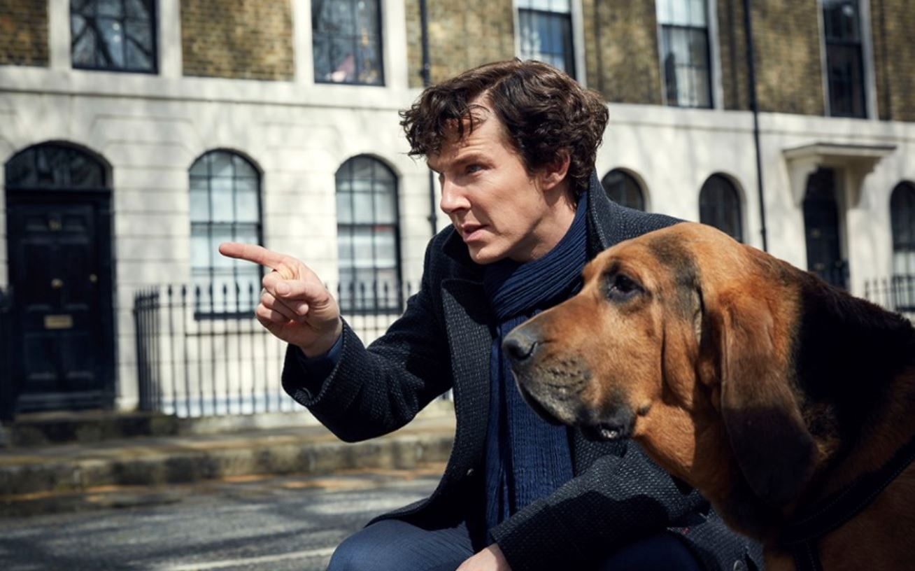 Serialowy "Sherlock" powróci na ekrany? Twórca serialu skomentował doniesienia