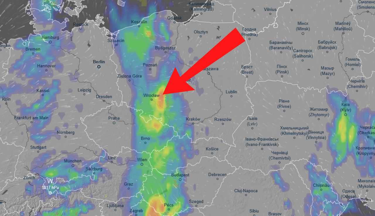 Już 3 czerwca dotrą do Polski z Niemiec. Synoptycy ogłaszają