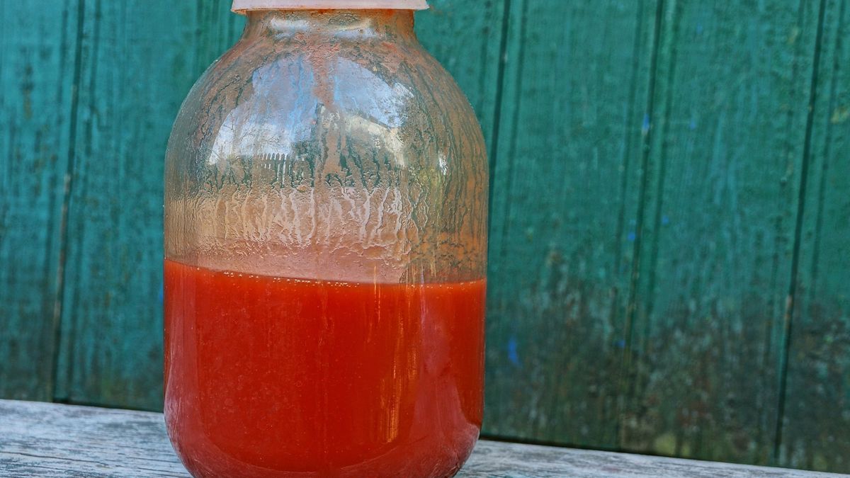 Dlaczego warto pić sok pomidorowy?