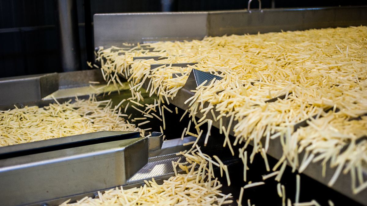 Farm Frites Polska wstrzymuje produkcje frytek na kilka tygodni