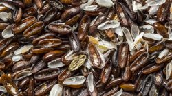 Na obniżenie cholesterolu i wsparcie serca. Lepsze niż siemię czy chia