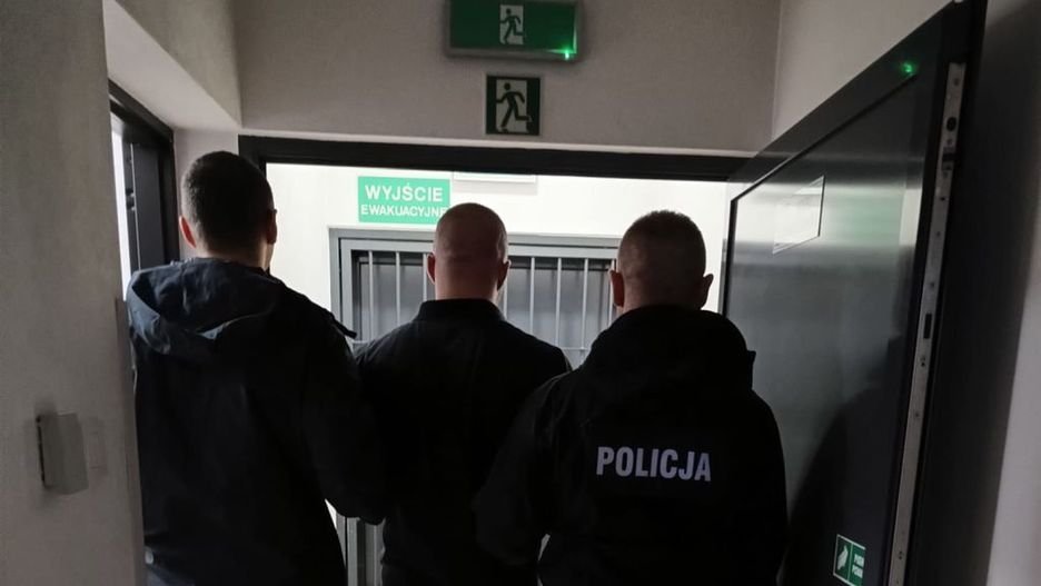 Fot. Licencjodawca