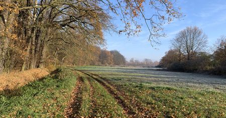 Wrocław. Pogoda. 29 listopada - mrozy i deszcz. Uwaga na gołoledź