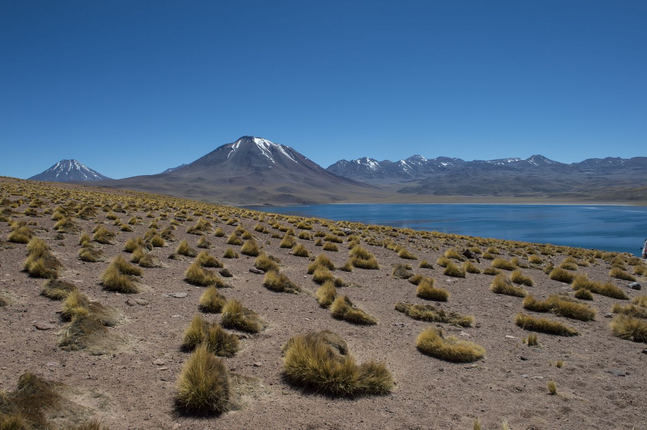 Surowa pustynia w Chile. Może być kluczem do wyżywienia ludzkości