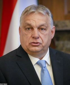 Coraz większy problem Orbana. Są sondaże