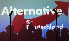 Nowy sondaż z Berlina. Znów taki wynik AfD