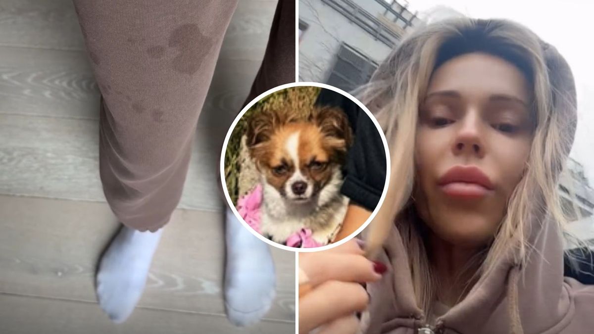 Doda jest zła na fanów 