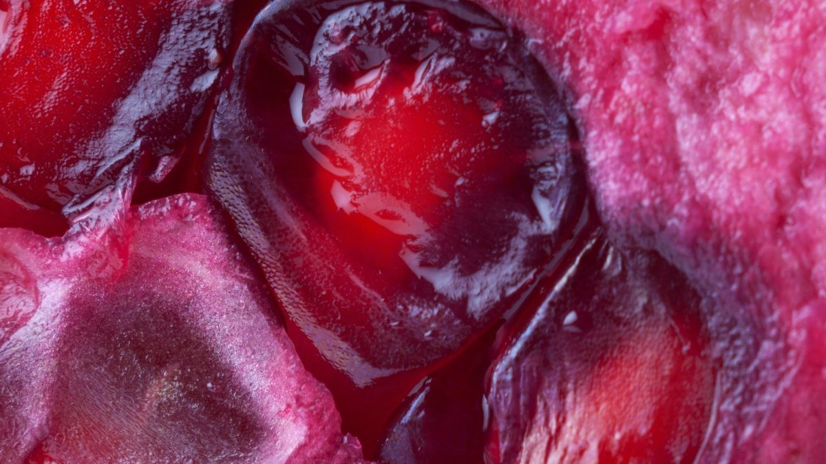 Pestki owocu granatu