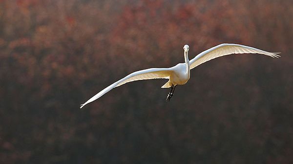 Człowiek, który sfotografował milion widoków z tego samego okna 1