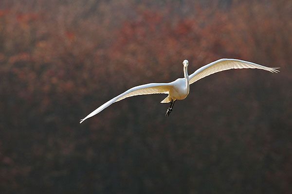 Człowiek, który sfotografował milion widoków z tego samego okna