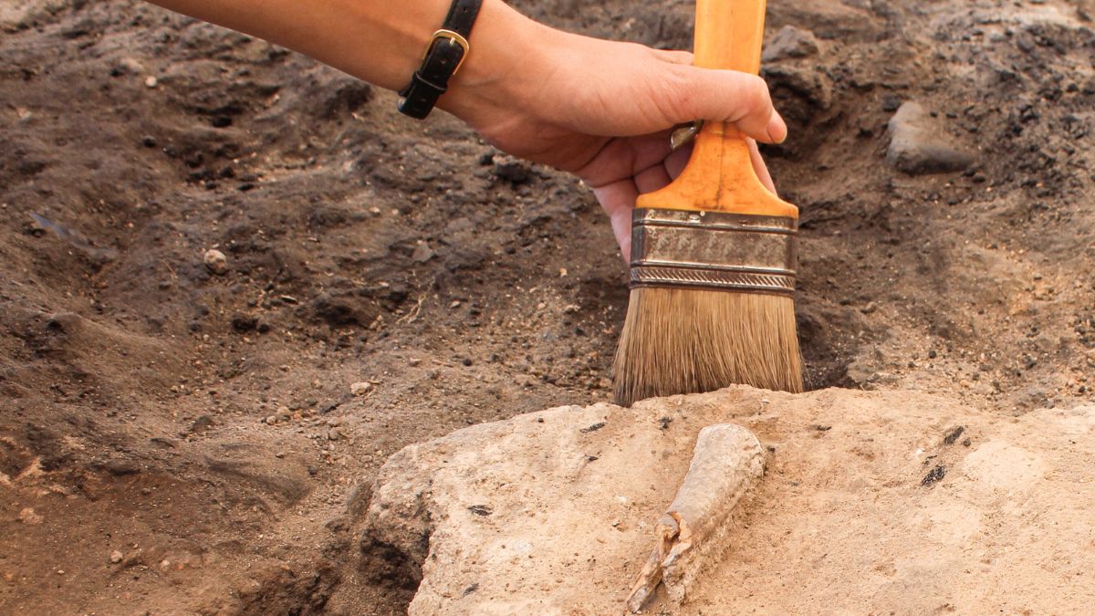 Archeolog odgarnia piach