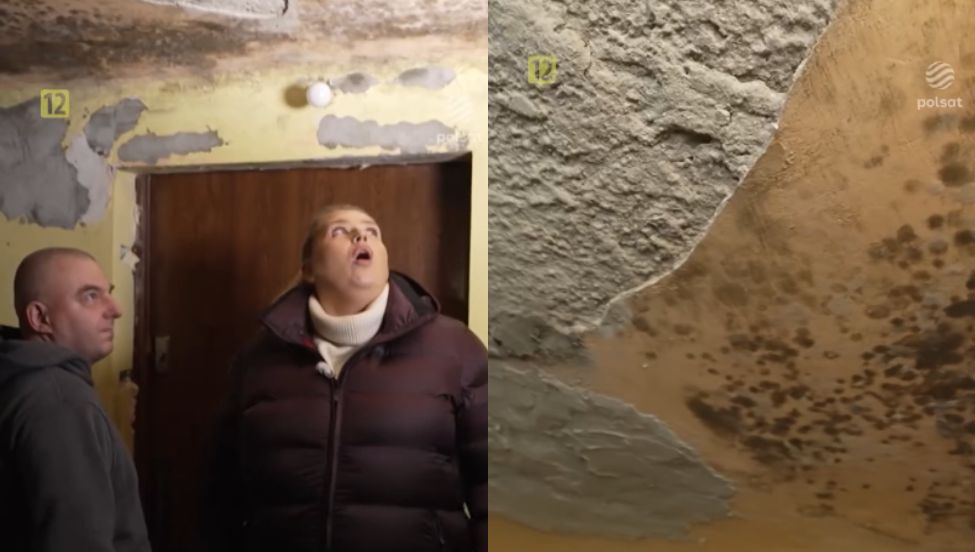 Ela Romanowska w 363. odcinku "Nasz nowy dom'