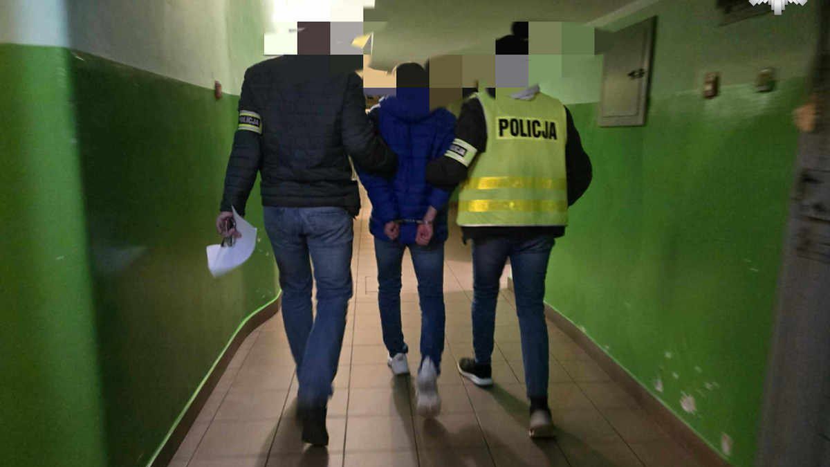 policja