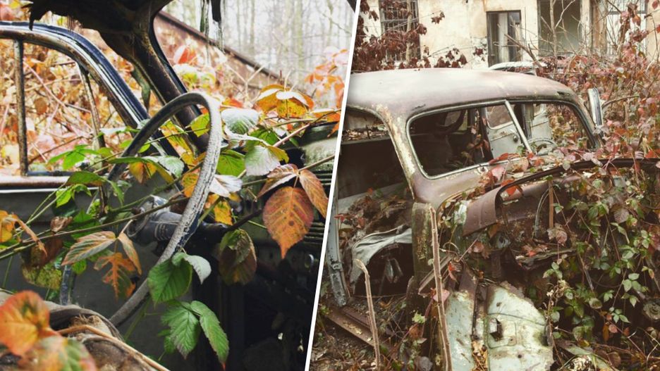 Cmentarzysko aut niedaleko Łodzi