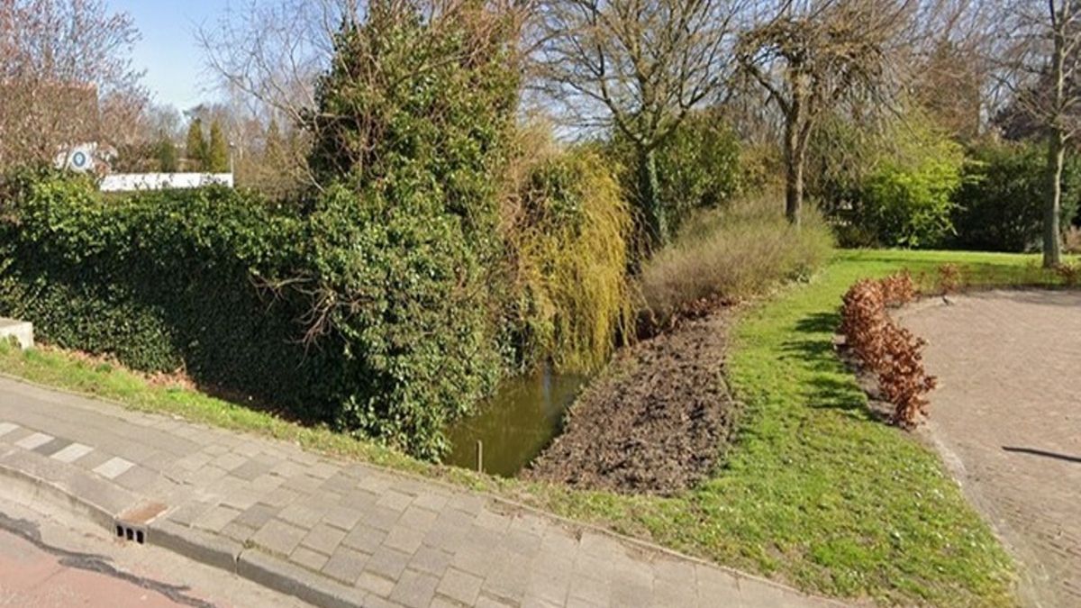 Krzaki, w których spali wyeksmitowani Polacy