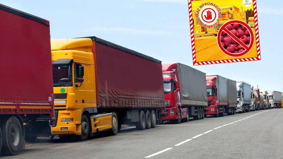Służby znów znalazły pleśń w produktach z Ukrainy