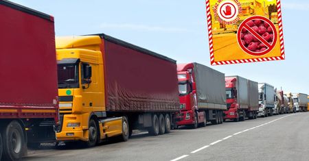 Służby zatrzymały tony malin z Ukrainy. Oto co w nich znalazły
