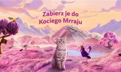 9 na 10 opiekunów kotów w Polsce uważa, że ich kot ma unikalną osobowość - sprawdź, co czyni pupila szczęśliwym