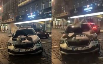 Weszła na maskę radiowozu. "Erotyczne pozy". Sceny w Czechach