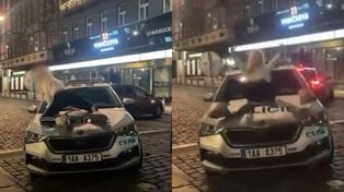 Weszła na maskę radiowozu. "Erotyczne pozy". Sceny w Czechach