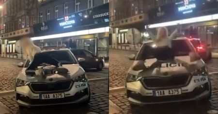 Weszła na maskę radiowozu. "Erotyczne pozy". Sceny w Czechach