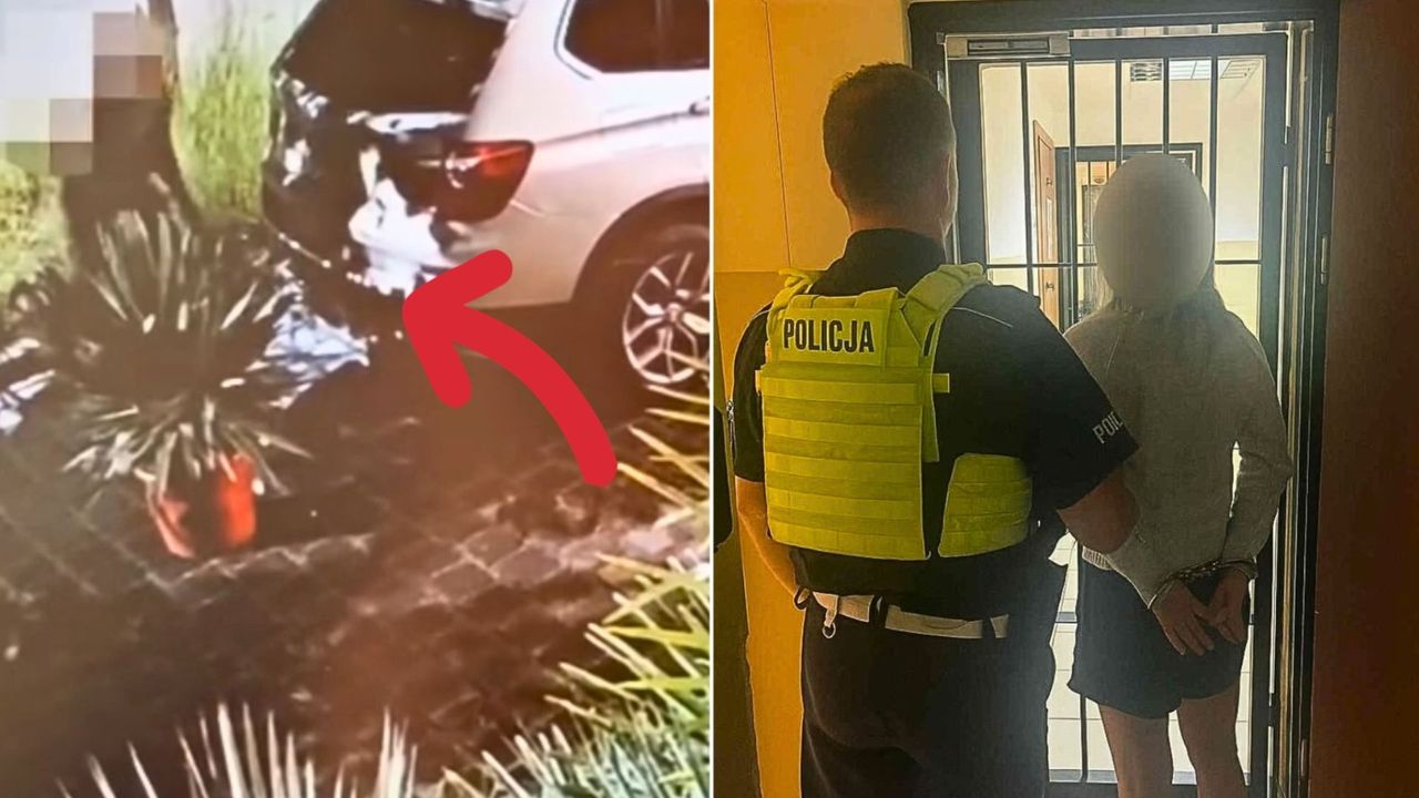 Zuchwała ogrodniczka z Trójmiasta. Nocą kradła egzotyczne rośliny