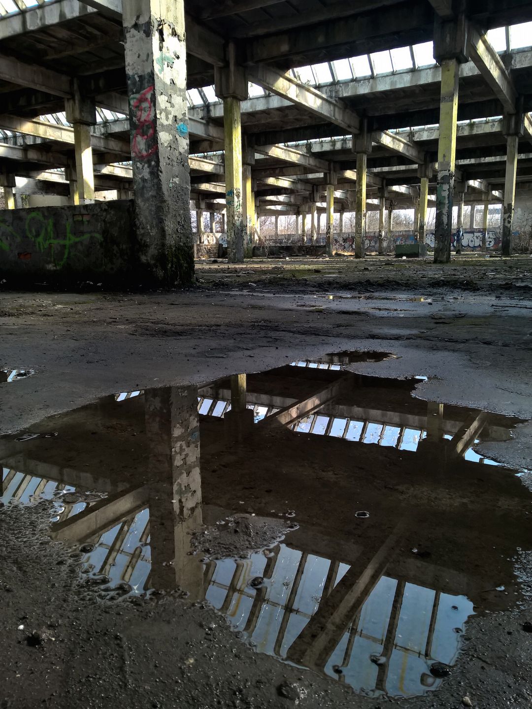 Lumia 930 - test fotograficzny 9