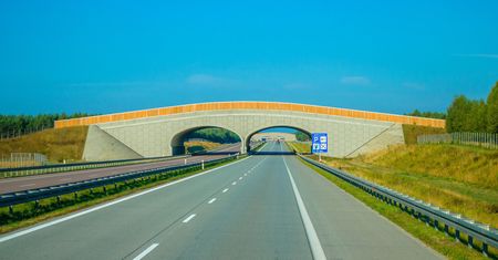 Autostradą A1, A2 i A4 pojedziesz za darmo. Spełnić trzeba jeden warunek