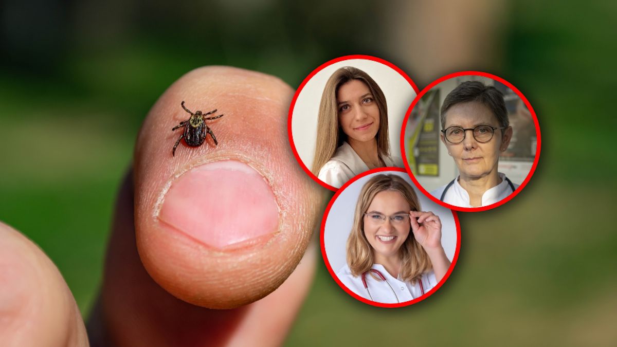 W Polsce pojawił się nowy gatunek kleszczy