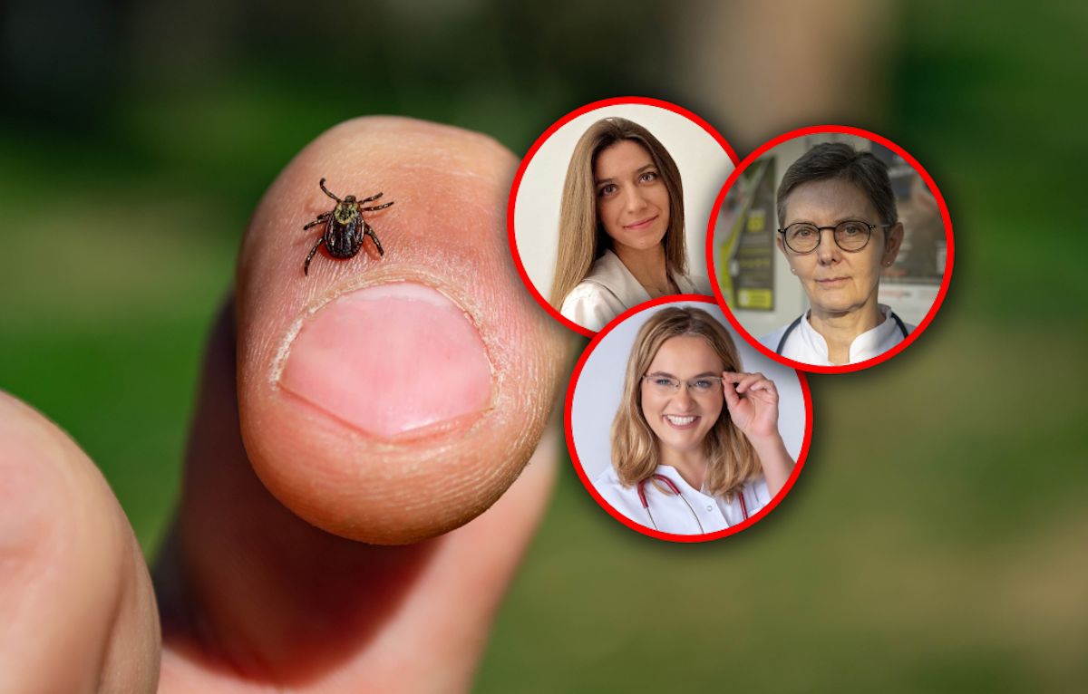 Nowy rodzaj kleszczy w Polsce. "Szybko biegają i potrafią 'gonić' ofiarę"