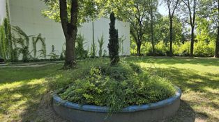 Leszno: Tak dziś wygląda Park im. Leszczyńskich Satyryków. Ma tu powstać tężnia solankowa