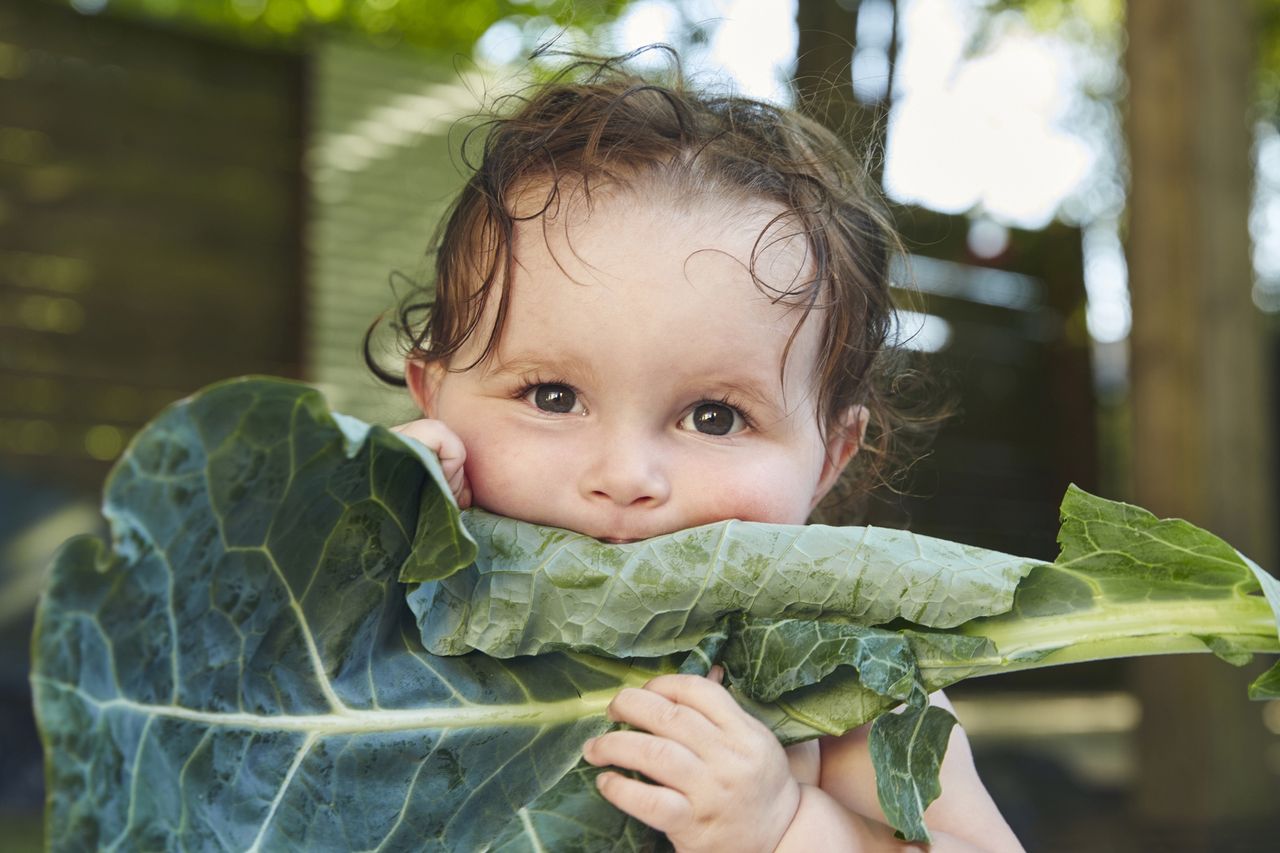 Zdrowe nawyki żywieniowe - jak wprowadzić je u dziecka?