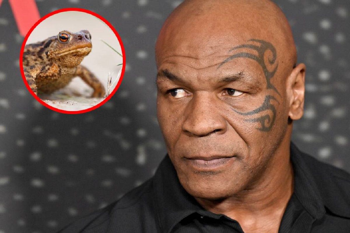 Mike Tyson faces Jake Paul: A comeback filled with surprises