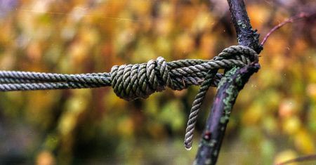 Śląskie. Wisiał na drzewie z zaciśniętą pętlą. Dramatyczna akcja w Kaletach