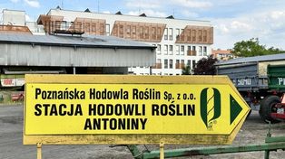 Na Antoninach widać z czego słynęło Leszno. Dawne folwarczne budynki zdobią Leszno